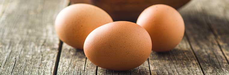 reconnaitre-oeuf-frais guide-oeuf-frais