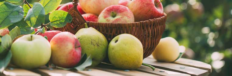 Recette pomme poire : comment cuisiner ces fruits du quotidien?? Recette pomme poire : comment cuisiner ces fruits du quotidien??