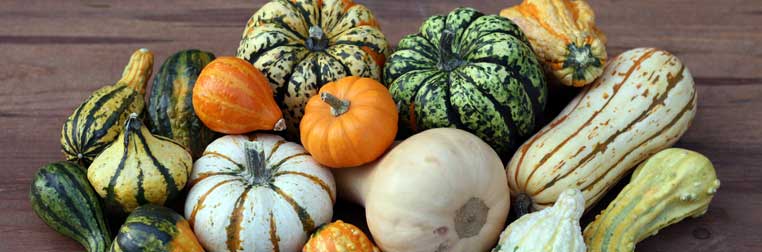 Recette de courge : se régaler à plusieurs avec un bon plat d’hiver Recette de courge : se régaler à plusieurs avec un bon plat d’hiver