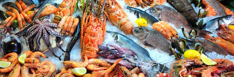 Faire un plateau de fruits de mer : plus simple à préparer qu’il n’y paraît Faire un plateau de fruits de mer : plus simple à préparer qu’il n’y paraît