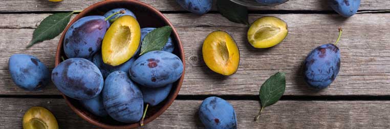 Variétés de prunes : des fruits savoureux aux multiples atouts Variétés de prunes : des fruits savoureux aux multiples atouts