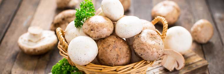 Recette aux champignons : variétés, conseils et ustensiles adaptés Recette aux champignons : variétés, conseils et ustensiles adaptés