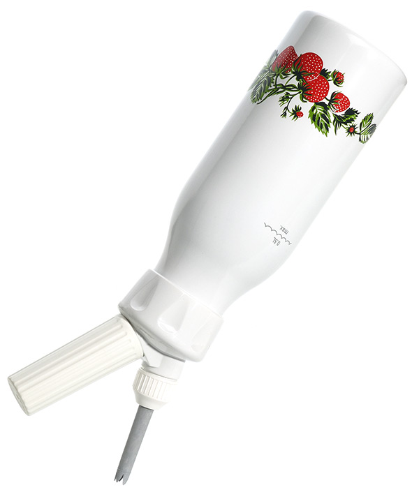 réaliser sa recette de glace maison avec le siphon kayser