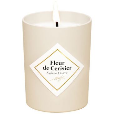 Bougie fleur de cerisier 75 g