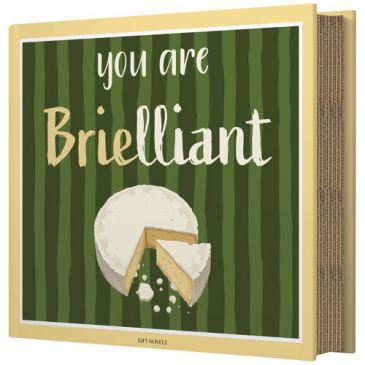 Coffret fromage 4 pièces You are BRIElliant ! - Gift Novels