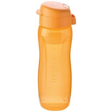 Gourde 0.5 L - Éco Bouteille