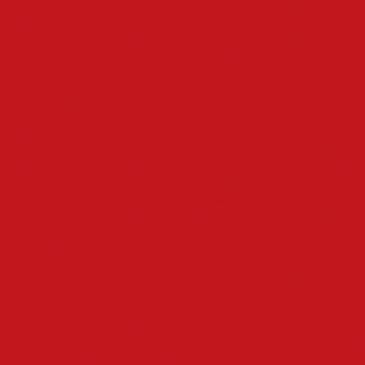 Lot 12 serviettes 40 x 40 cm Rouge - Dunisoft Bio