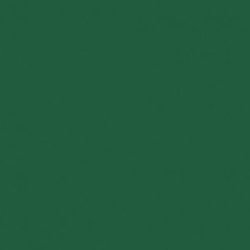 Lot 12 serviettes 40 x 40 cm Vert - Dunisoft Bio